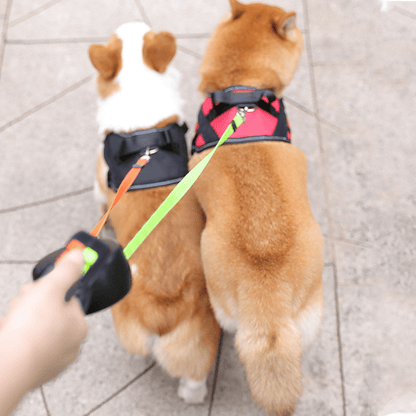 DoubleDog dubbele uitschuifbare hondenriem met anti-klit ontwerp en licht