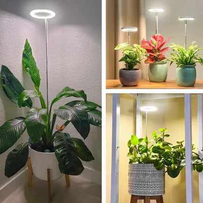 GrowGlow verstelbare LED plantenlamp full spectrum groeilicht