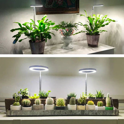 GrowGlow verstelbare LED plantenlamp full spectrum groeilicht