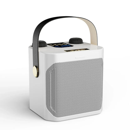 Karaoke Bluetooth Speaker – 360° Geluid met Dubbele Microfoons