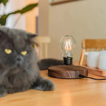 Levion zwevende Tesla-lamp drijvende magnetische LED sfeertafelverlichting
