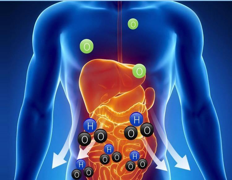 Draagbare Waterstof Waterfles met Oplaadbare Ionisator