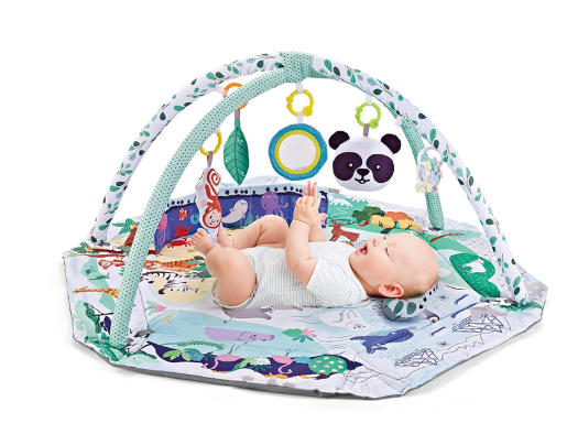 SensoryHaven 8-in-1 baby speelmat met speelgoed voor sensorische ontwikkeling en vroeg leren