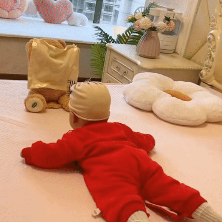 SnuggleBuddy Peek a Boo Beer Interactief Pratend Pluche Speelgoed voor Baby’s en Peuters