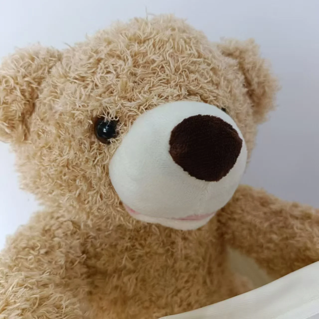 SnuggleBuddy Peek a Boo Beer Interactief Pratend Pluche Speelgoed voor Baby’s en Peuters