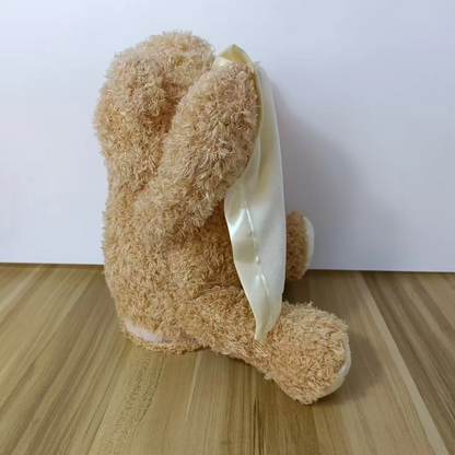 SnuggleBuddy Peek a Boo Beer Interactief Pratend Pluche Speelgoed voor Baby’s en Peuters