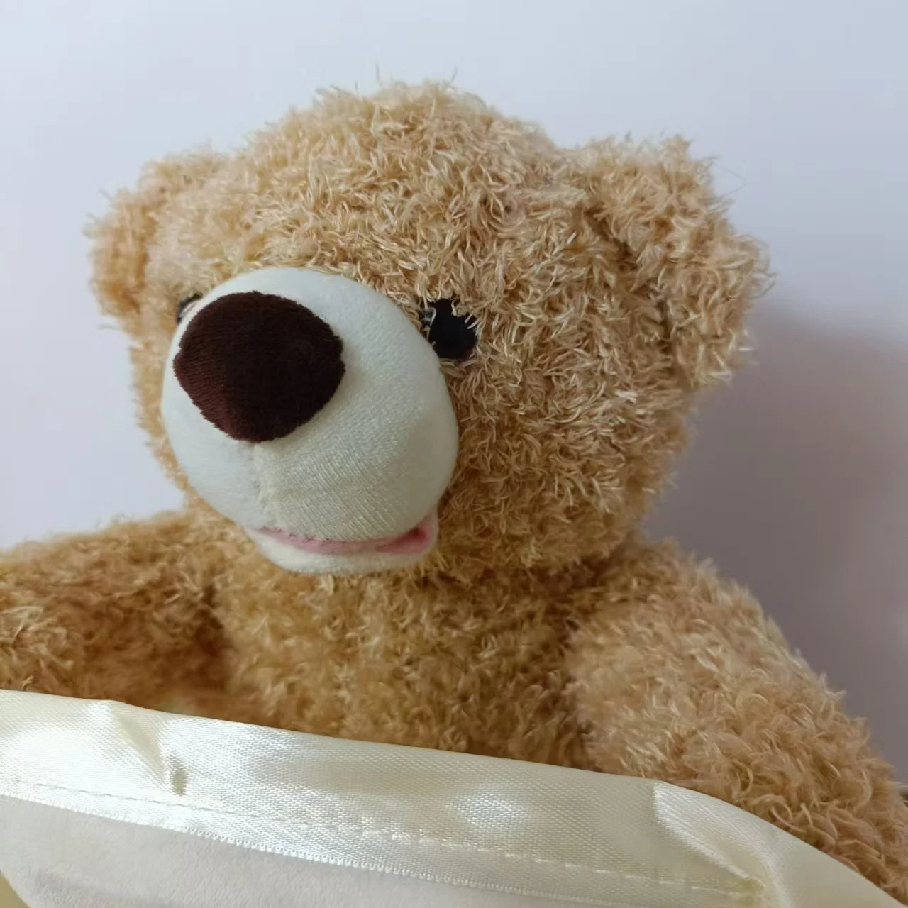 SnuggleBuddy Peek a Boo Beer Interactief Pratend Pluche Speelgoed voor Baby’s en Peuters