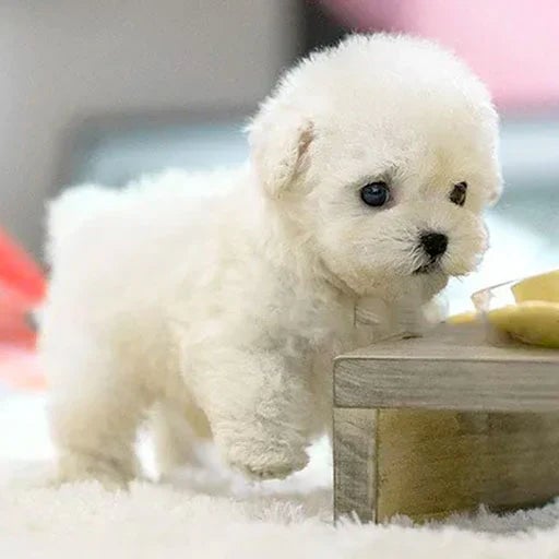SnugglePup realistische pluche puppy zachte knuffelvriend