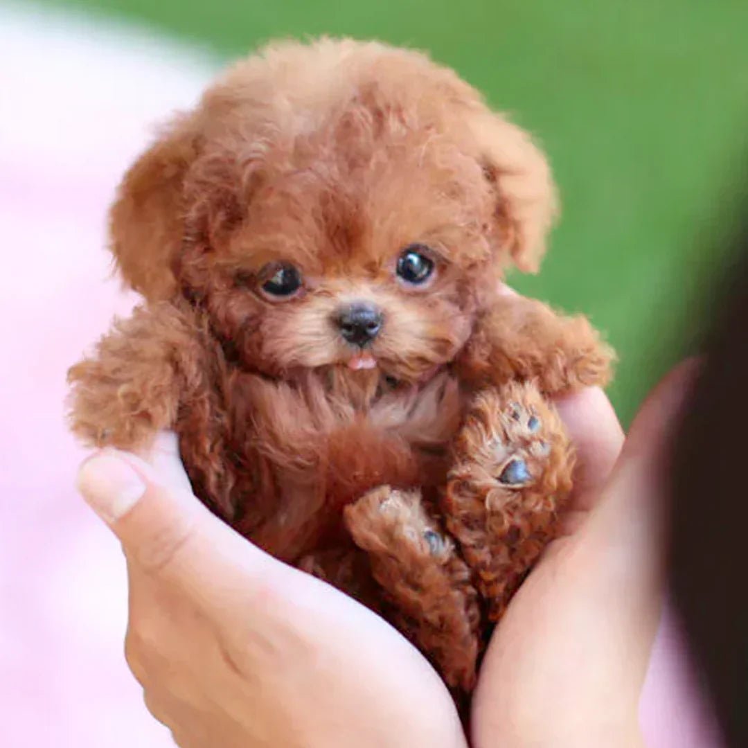 SnugglePup realistische pluche puppy zachte knuffelvriend