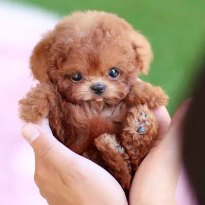 SnugglePup realistische pluche puppy zachte knuffelvriend