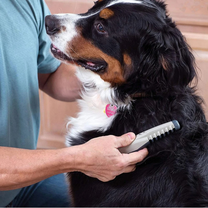 Klittenvrije huisdierverzorgingsborstel zachte ontwarrende borstel voor honden en katten