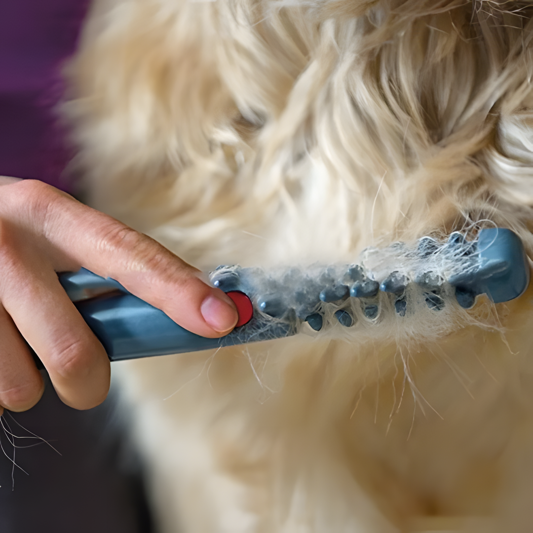 Klittenvrije huisdierverzorgingsborstel zachte ontwarrende borstel voor honden en katten