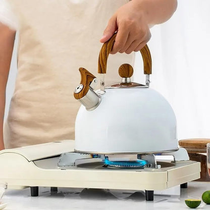 Velvettle roestvrijstalen fluitketel met snelkookfunctie en 3L inhoud