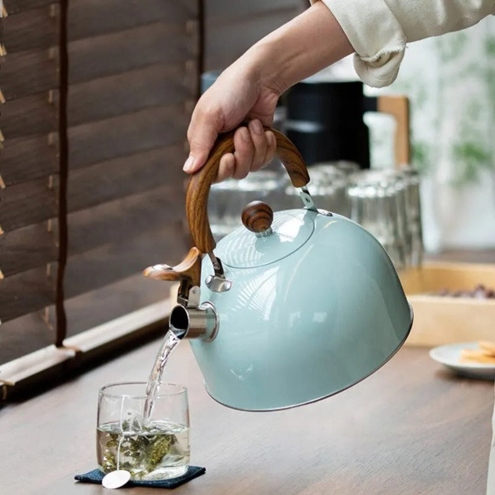 Velvettle roestvrijstalen fluitketel met snelkookfunctie en 3L inhoud
