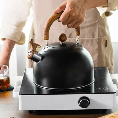 Velvettle roestvrijstalen fluitketel met snelkookfunctie en 3L inhoud