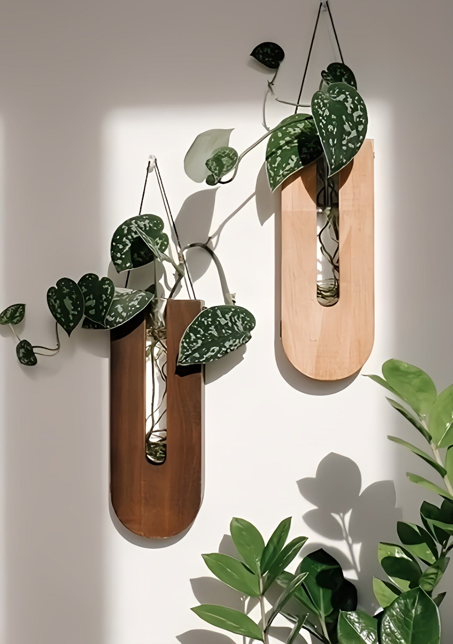 WoodFlora Rustieke Houten Wandplantenhouder Set